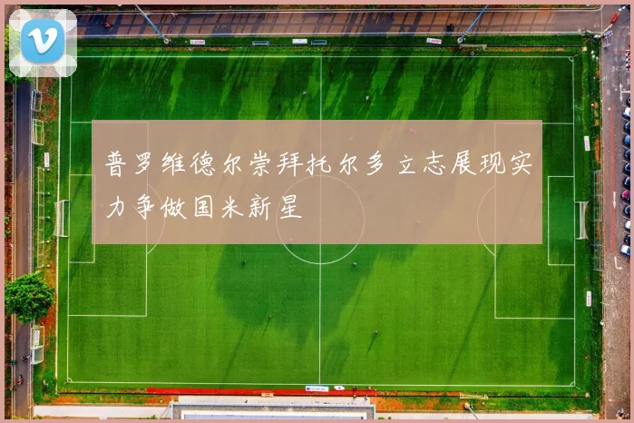 普罗维德尔崇拜托尔多立志展现实力争做国米新星