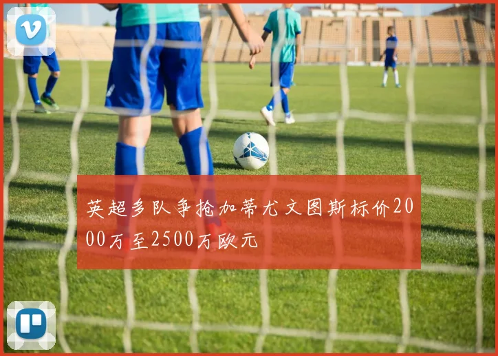 英超多队争抢加蒂尤文图斯标价2000万至2500万欧元